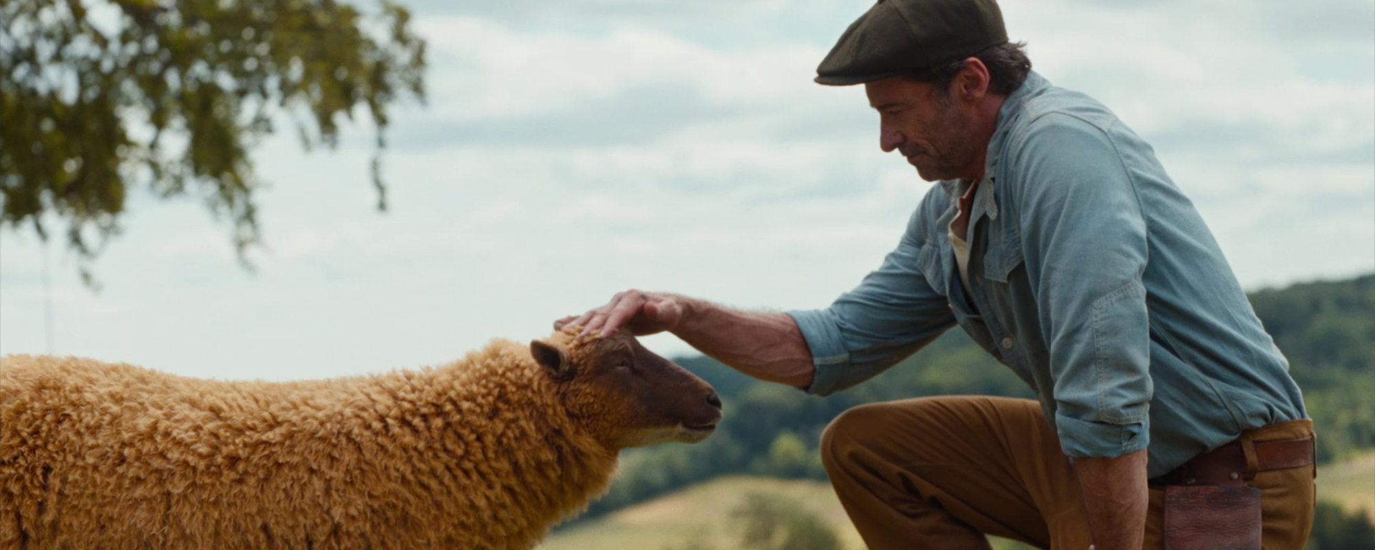 The Sheep Detectives