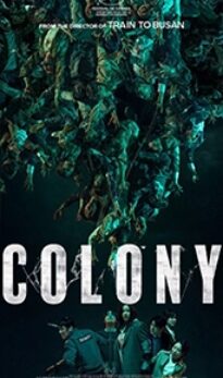 Colony